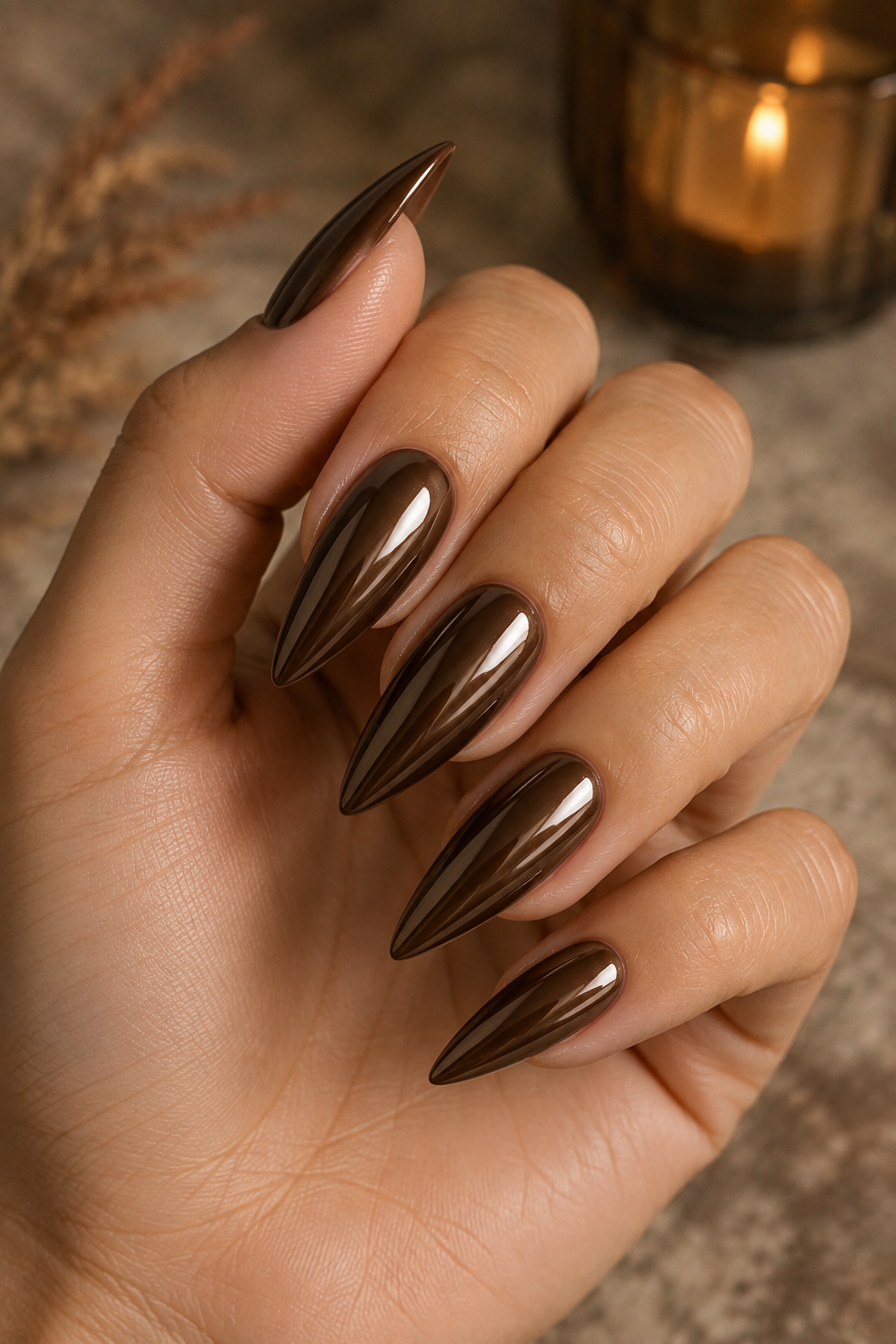 Chocolate Glazed Stiletto Nails
